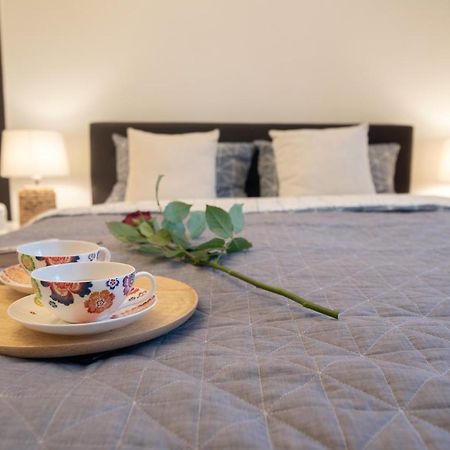 Central Bright Apartment Kluż-Napoka Zewnętrze zdjęcie