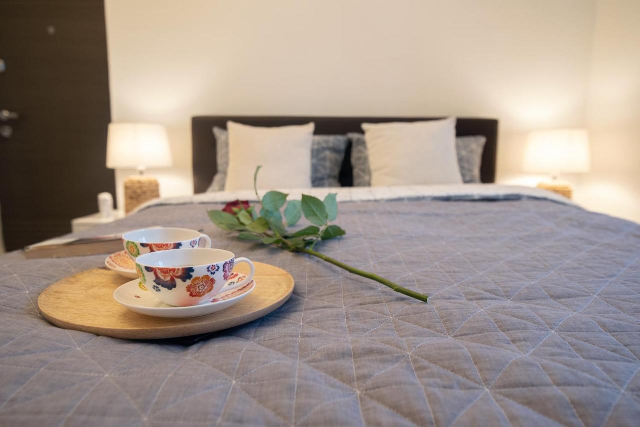 Central Bright Apartment Kluż-Napoka Zewnętrze zdjęcie